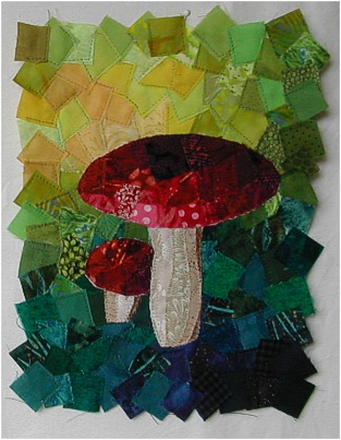 mushroom collage 2
